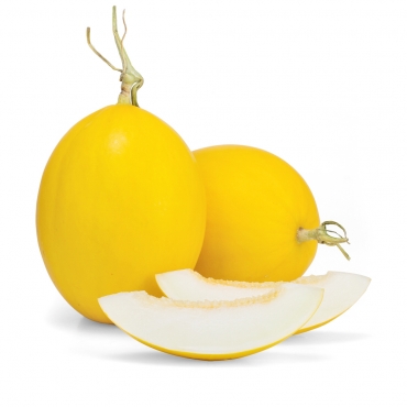 海南金凤凰蜜瓜